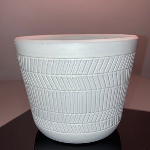 Costa Farms white flower pot